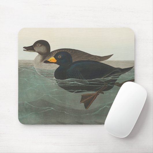 Audubon American Scoter Duck Classic Muismat (Met muis)
