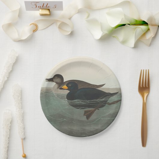 Audubon American Scoter Duck Classic Papieren Bordje (Huwelijk)