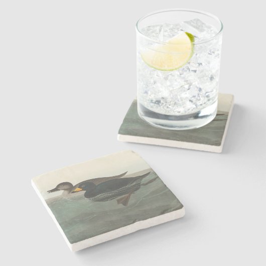 Audubon American Scoter Duck Classic Stenen Onderzetter (Zijkant)