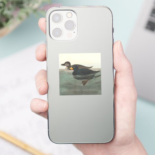 Audubon American Scoter Duck Classic Sticker (Telefoon)