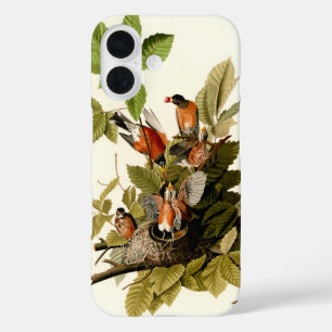 Audubon Amerikaanse Robin Wildlife Bird Illustrati iPhone 16 Hoesje