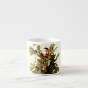 Audubon Amerikaanse Robin Wildlife Bird Illustrati Espresso Kop