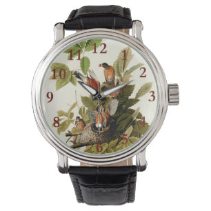 Audubon Amerikaanse Robin Wildlife Bird Illustrati Horloge