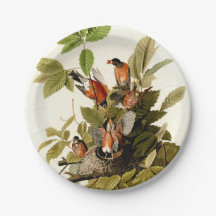 Audubon Amerikaanse Robin Wildlife Bird Illustrati Papieren Bordje