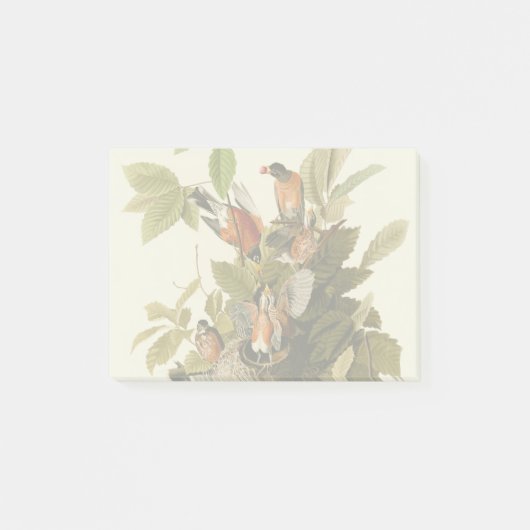 Audubon Amerikaanse Robin Wildlife Bird Illustrati Post-it® Notes (Voorkant)