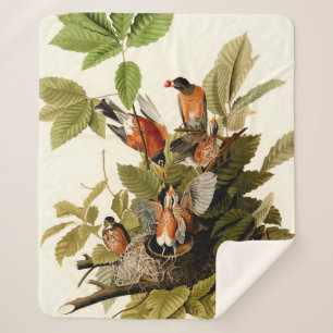 Audubon Amerikaanse Robin Wildlife Bird Illustrati Sherpa Deken