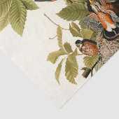 Audubon Amerikaanse Robin Wildlife Bird Illustrati Tissuepapier (Detail)