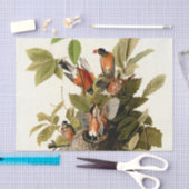Audubon Amerikaanse Robin Wildlife Bird Illustrati Tissuepapier (Craft)