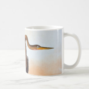 Audubon: Anhinga Koffiemok