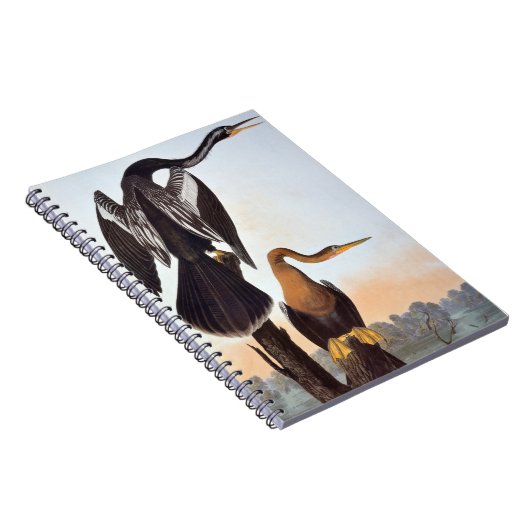 Audubon: Anhinga Notitieboek (Rechterzijde)