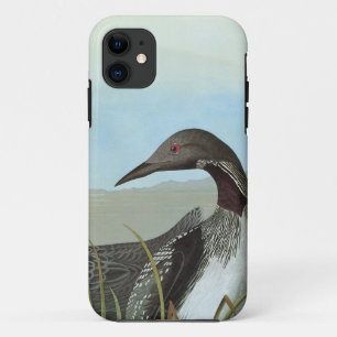 Audubon: Arctic Loon iPhone 11 Hoesje