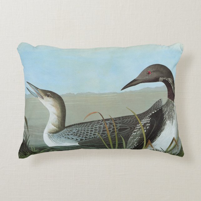 Audubon: Arctic Loon Decoratief Kussen (Voorkant)