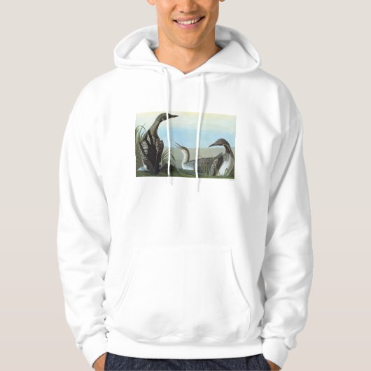 Audubon: Arctic Loon Hoodie (Voorkant)