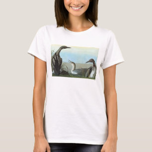 Audubon: Arctic Loon T-shirt