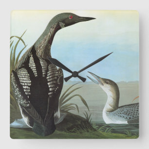 Audubon: Arctic Loon Vierkante Klok