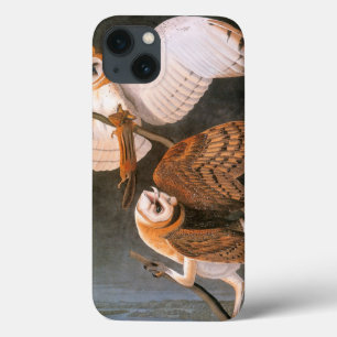 Audubon: Barn iPhone 13 Hoesje