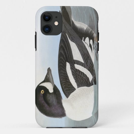 Audubon: Barrow's Goldeneye Case-Mate iPhone Case (Achterkant)
