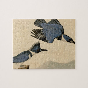 Audubon Belted Kingfisher Wildlife Bird Legpuzzel