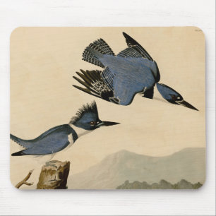 Audubon Belted Kingfisher Wildlife Bird Muismat