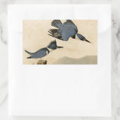 Audubon Belted Kingfisher Wildlife Bird Rechthoekige Sticker (Tas)