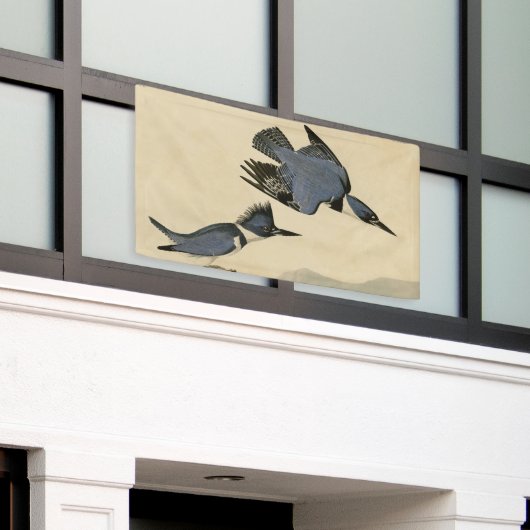 Audubon Belted Kingfisher Wildlife Bird Spandoek (Buitenkant Gebouw)