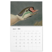 Audubon Bird Head 18 Maand Kalender (Mar 2026)