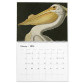 Audubon Bird Head 18 Maand Kalender (Feb 2026)