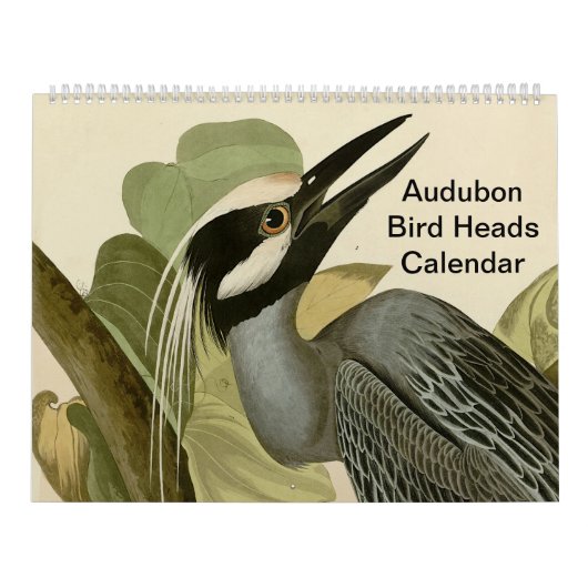 Audubon Bird Head Kalender (Hoes)