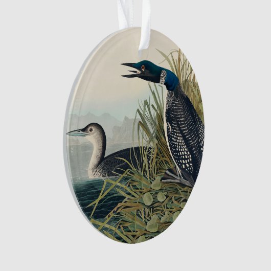Audubon Bird Loon Diver Classic (devant)