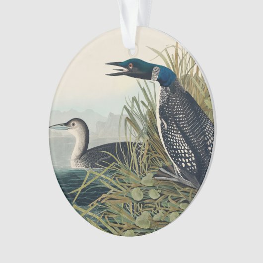 Audubon Bird Loon Diver Classic (devant)