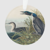 Audubon Bird Loon Diver Classic (devant)