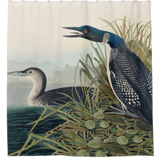 Audubon Bird Loon Diver Classic Douchegordijn (Voorkant)