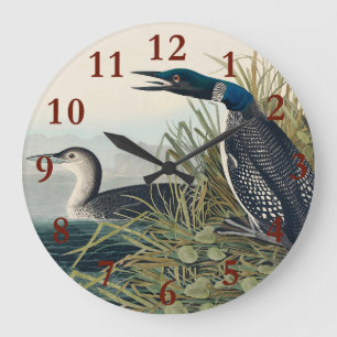 Audubon Bird Loon Diver Classic Grote Klok