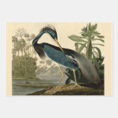 Audubon Bird Loon Diver Classic Inpakpapier Vel (Voorkant 3)