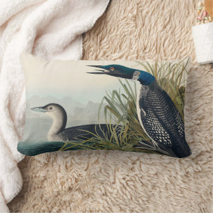 Audubon Bird Loon Diver Classic Kussen