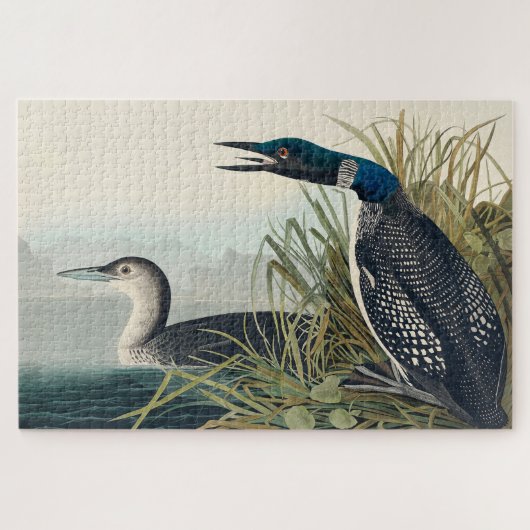 Audubon Bird Loon Diver Classic Legpuzzel (Horizontaal)