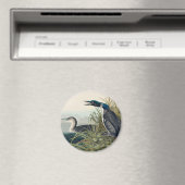 Audubon Bird Loon Diver Classic Magneet (Insitu (Vaatwasser))