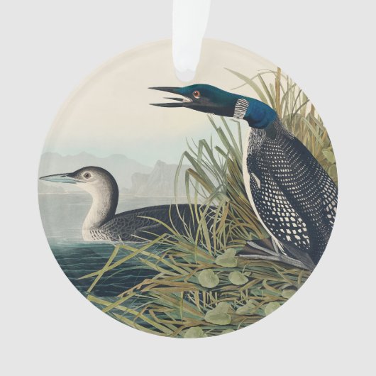 Audubon Bird Loon Diver Classic Ornament (voorkant)