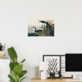 Audubon Bird Loon Diver Classic Poster (Thuiskantoor)