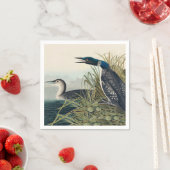 Audubon Bird Loon Diver Classic Servet (Insitu)