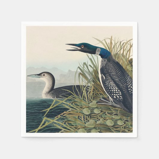 Audubon Bird Loon Diver Classic Servet (Voorkant)