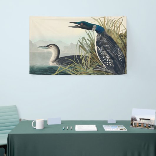 Audubon Bird Loon Diver Classic Spandoek (Beurs)