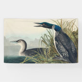Audubon Bird Loon Diver Classic Spandoek (Horizontaal)