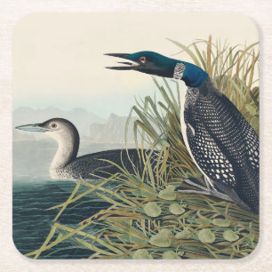 Audubon Bird Loon Diver Classic Vierkante Kartonnen Onderzetter