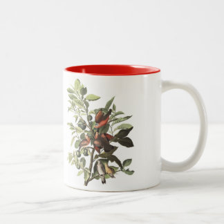 Audubon Bird Mok, Ground Dove, 15 oz. Twee-tinten Tweekleurige Koffiemok