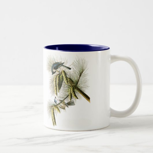 Audubon Bird Mok, Tufted Titmouse, 15 oz. Tweekleurige Koffiemok (Rechts)