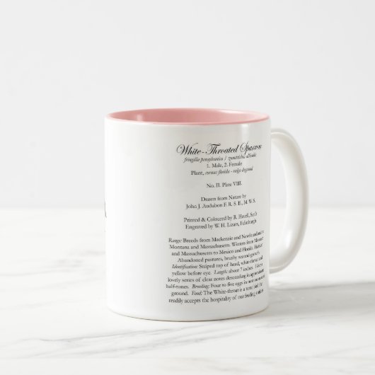 Audubon Bird Mok, White-Throated Sparrow, 15 oz. Tweekleurige Koffiemok (Voorkant rechts)