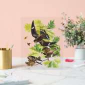 Audubon Birds - Night Hawk Acryl Bord (Huwelijk)