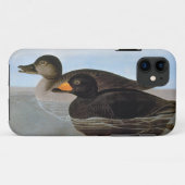 Audubon: Black Scoter Case-Mate iPhone Case (Achterkant (horizontaal))