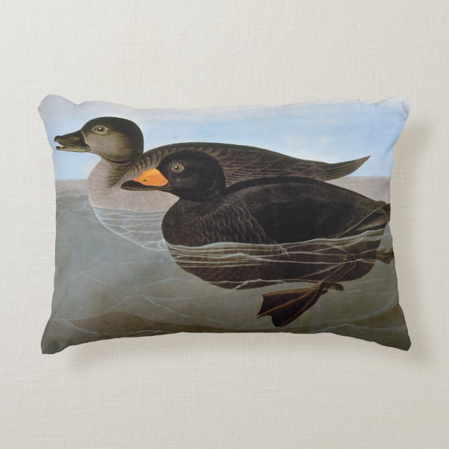 Audubon: Black Scoter Decoratief Kussen (Voorkant)